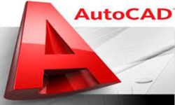  best it courses in chapra