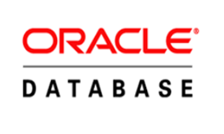 top programming courses in chapra